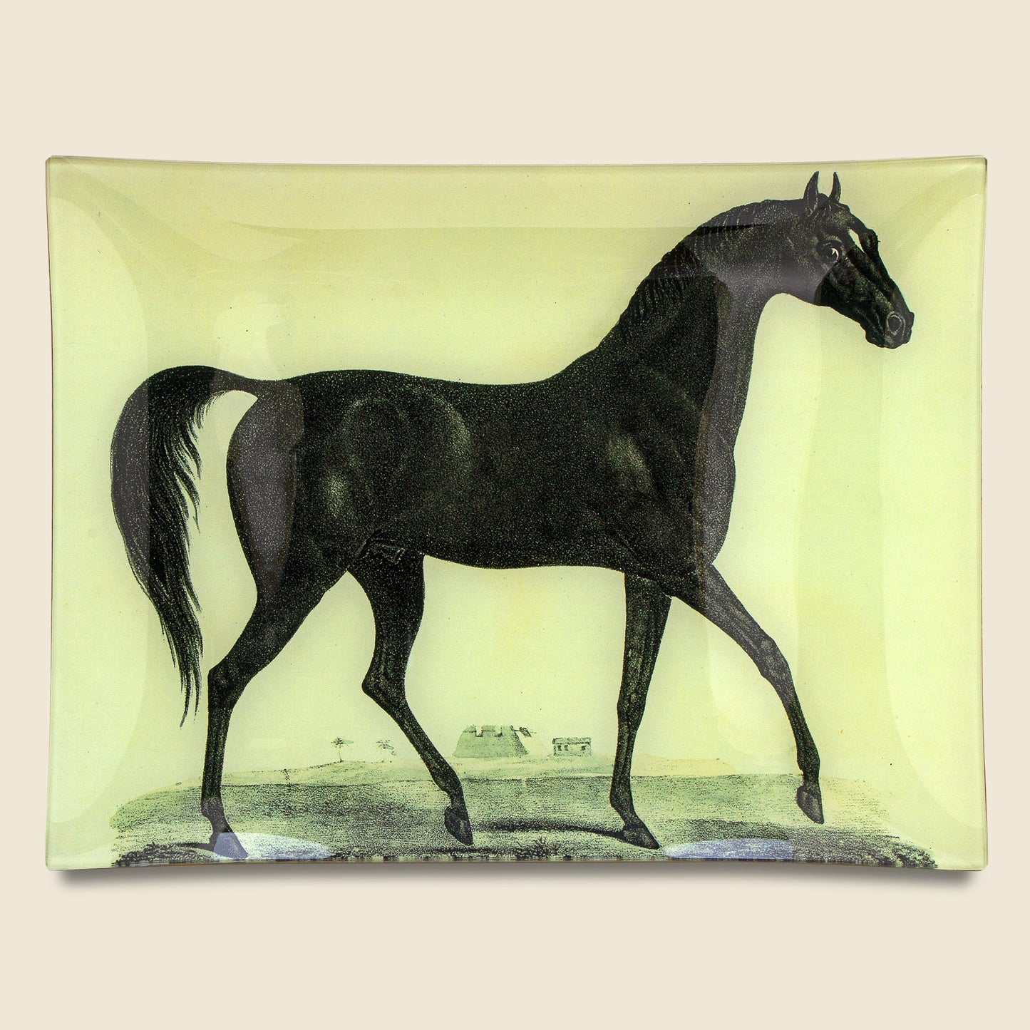 Arabian Horse Rectangle Tray
