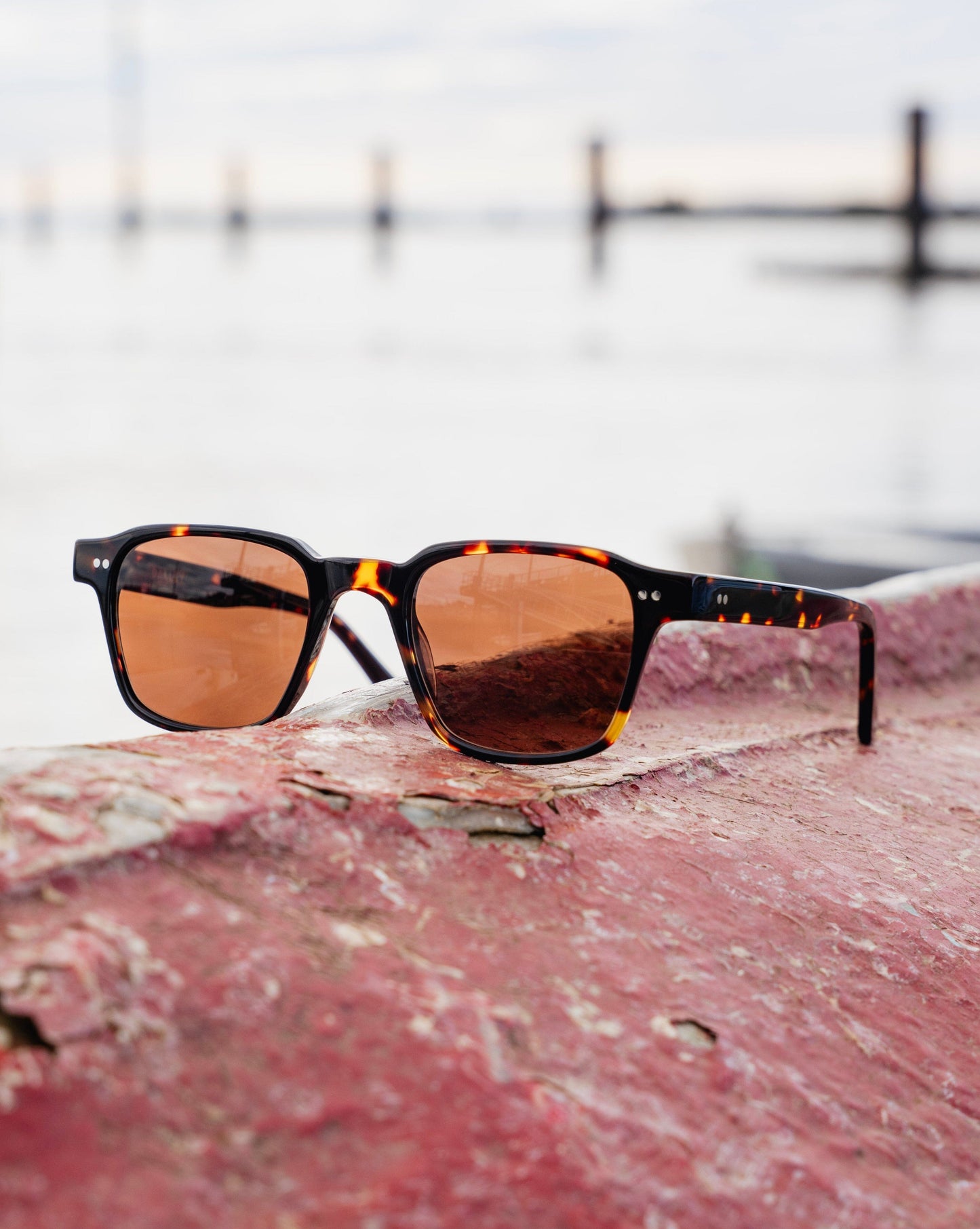 Lester Sunglasses / Tortoise Acetate - Galley Lens