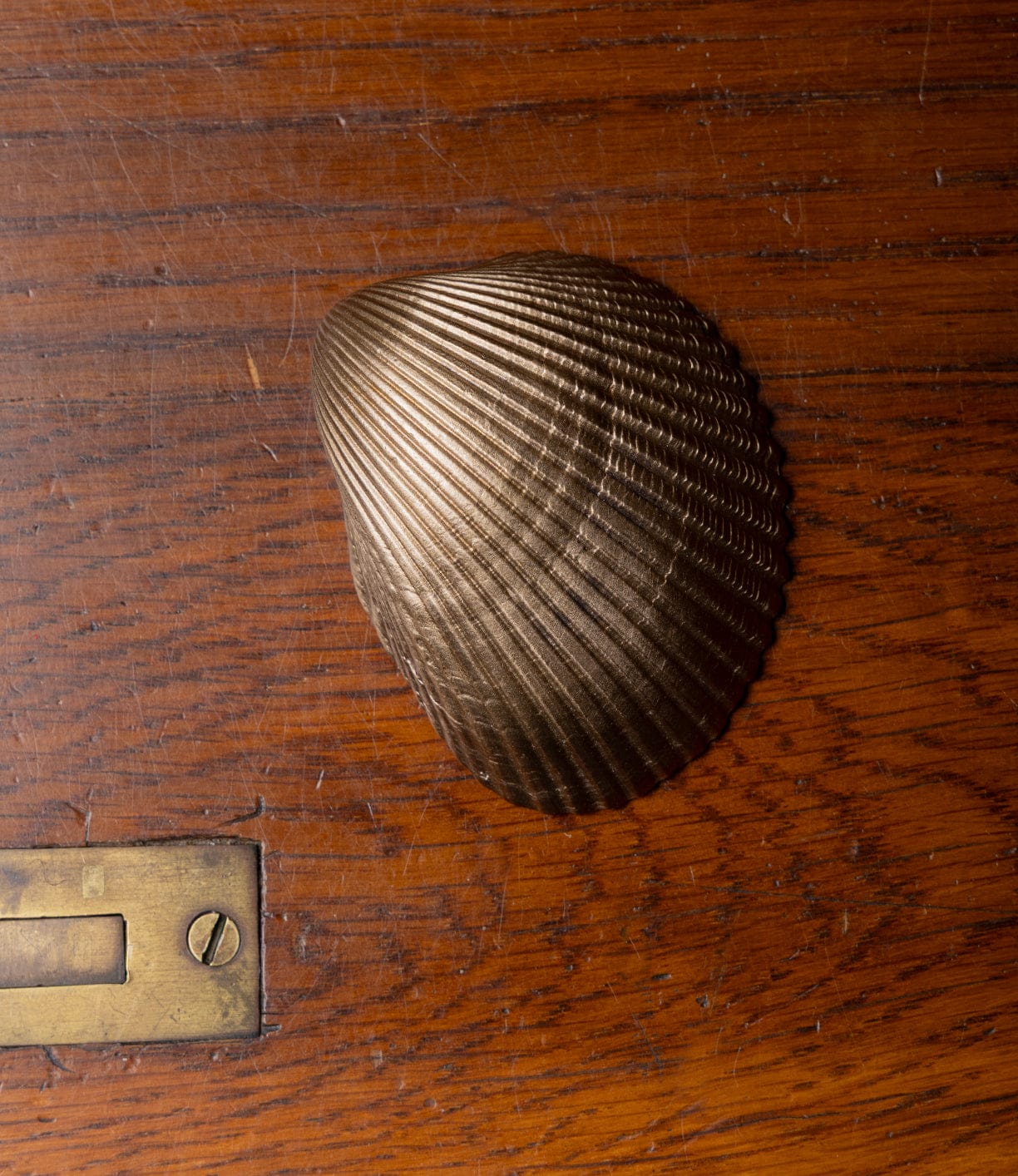 Cockle Shell Opener