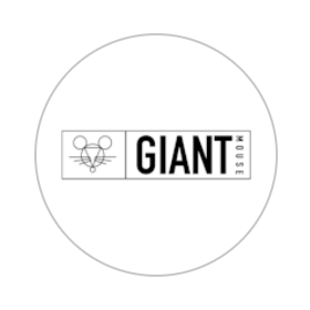 GiantMouse