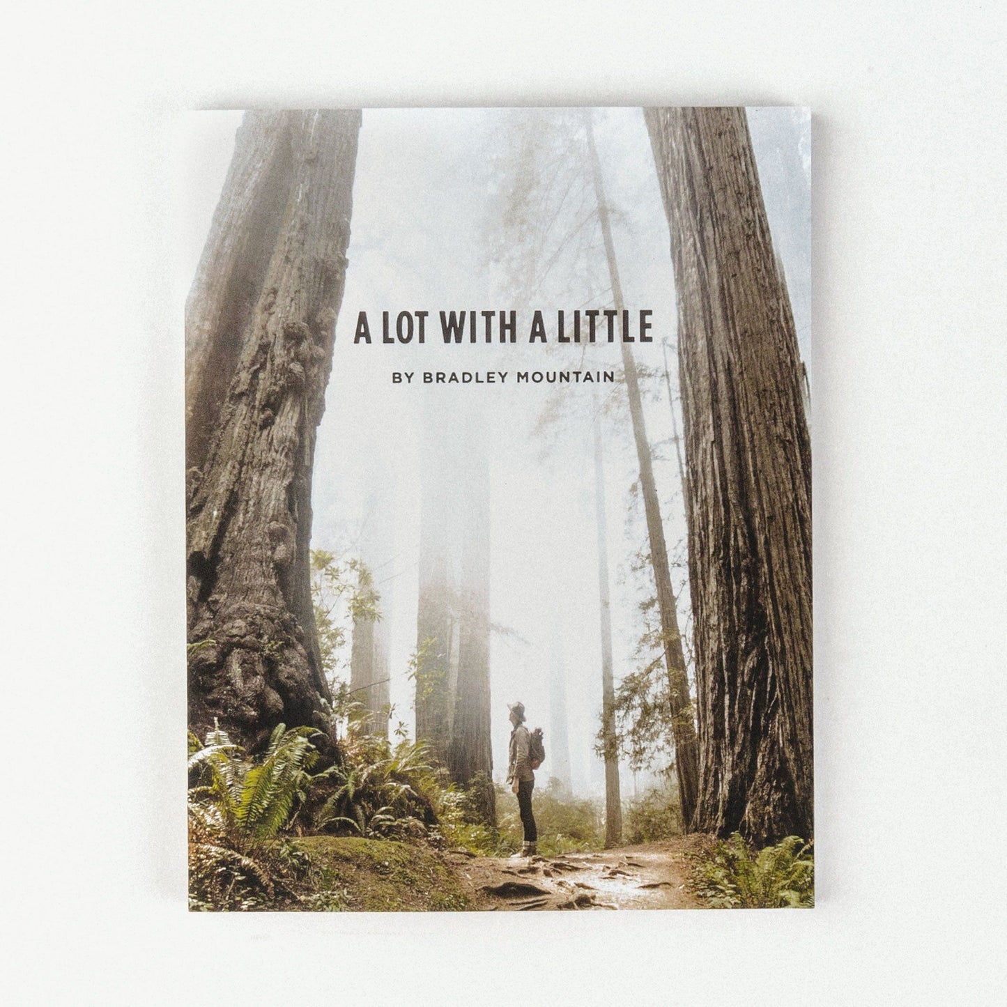 A Lot With A Little - eBook