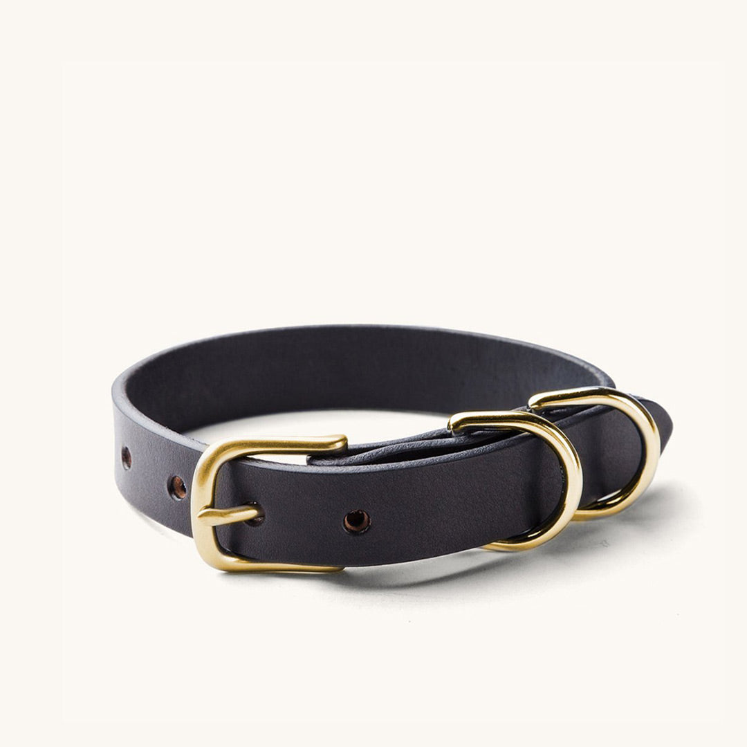 Classic Canine Collar - Black