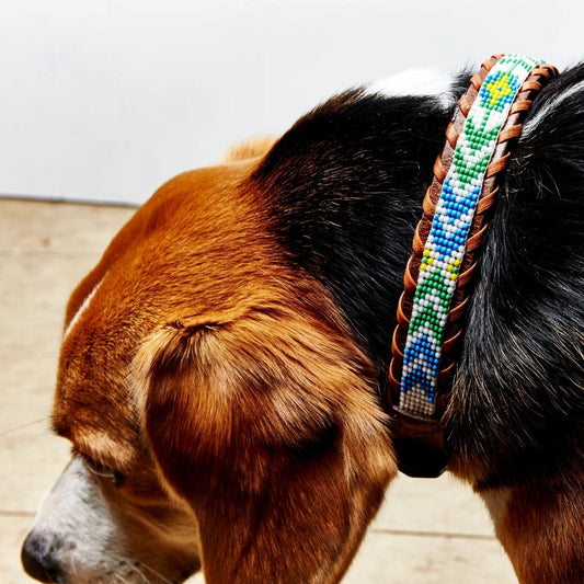 Flower / Arrows Dog Collar (thin)