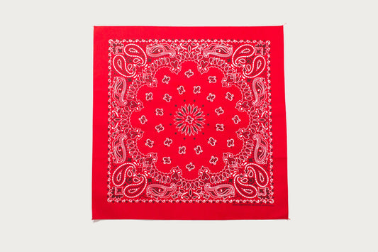 Hav-A-Hank Paisley Bandana - Red